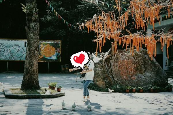 泥鳅钻豆腐的做法
