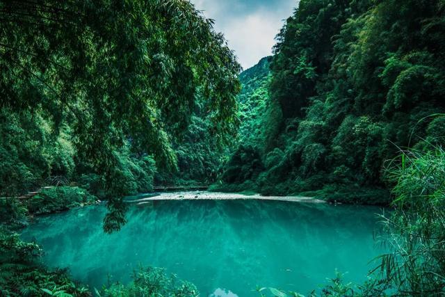 去年近4000条婚纱照视频在柬埔寨遗迹取景！